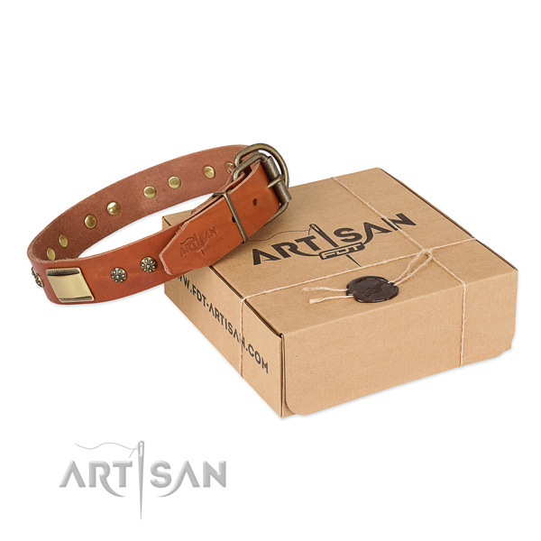 Fine quality full grain leather collar for your attractive pet