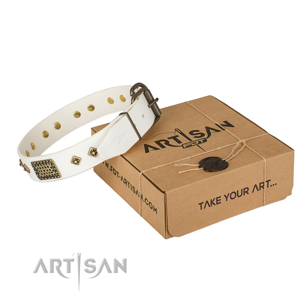 Stylish full grain genuine leather collar for your lovely dog