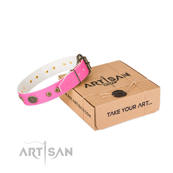 Reliable embellishments on full grain genuine leather dog collar for your dog