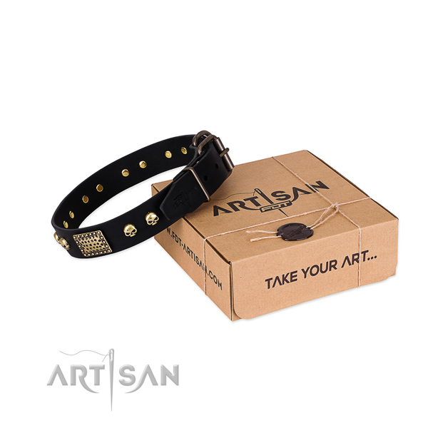 Reliable D-ring on dog collar for stylish walking