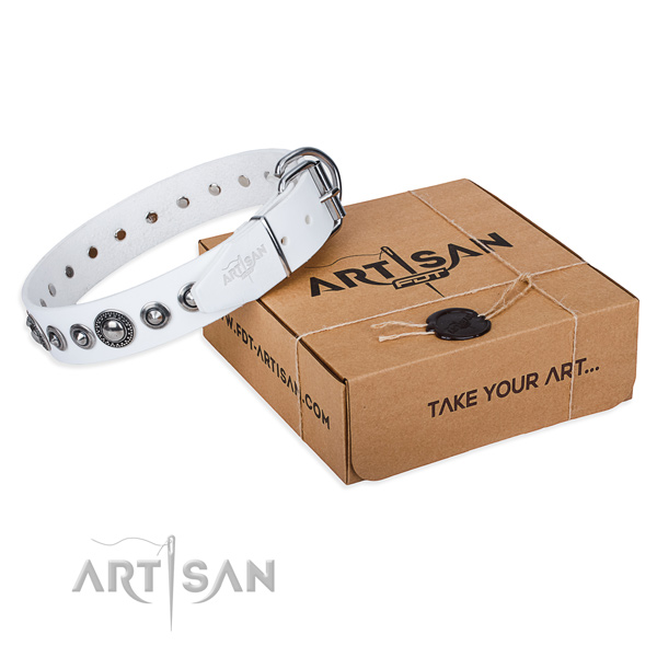 Full grain natural leather dog collar made of soft material with strong fittings
