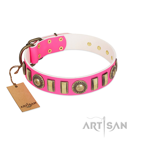 Handmade leather dog collar with corrosion resistant buckle