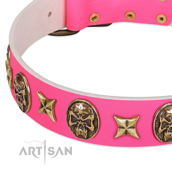 Full grain genuine leather dog collar with unusual studs