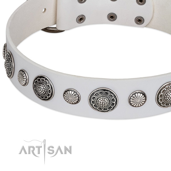 Full grain genuine leather collar with rust resistant hardware for your beautiful four-legged friend