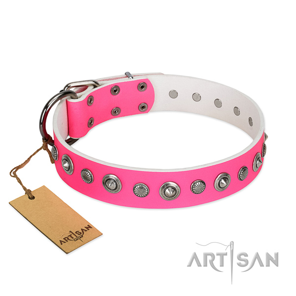 Top notch leather dog collar with exceptional decorations