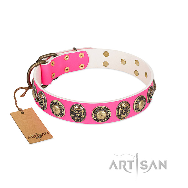 Easy wearing leather dog collar for everyday walking your pet