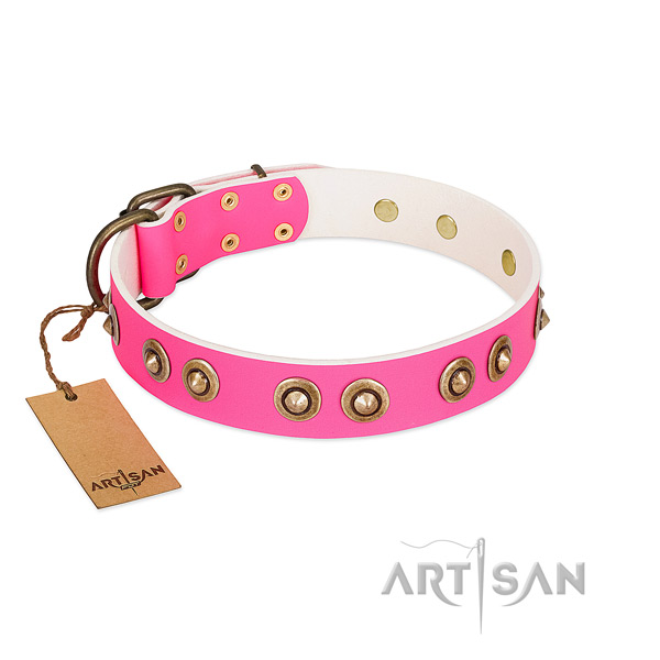 Comfortable full grain leather dog collar for everyday use