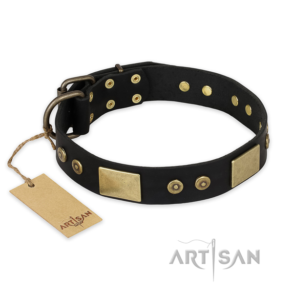 Perfect fit genuine leather dog collar for daily use