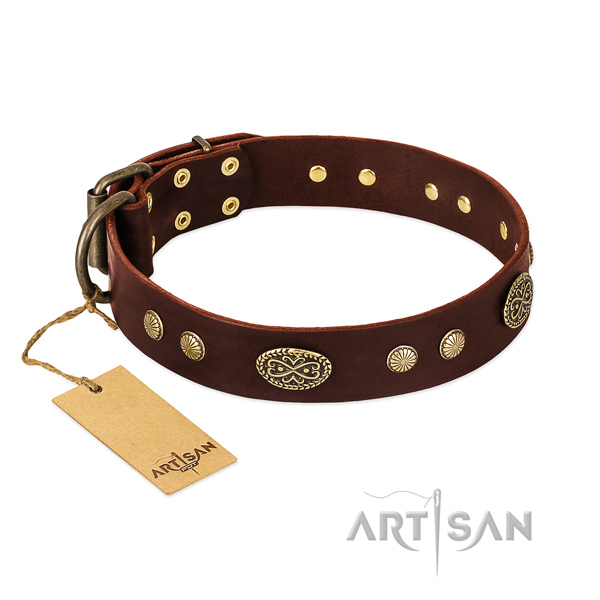 Durable D-ring on Genuine leather dog collar for your canine