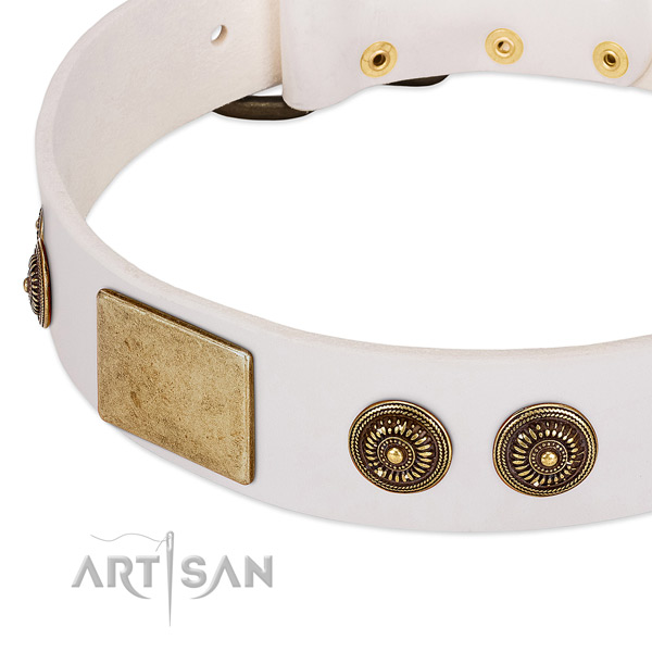 Handcrafted dog collar created for your beautiful four-legged friend