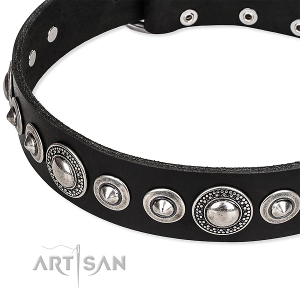 Comfy wearing adorned dog collar of strong full grain genuine leather