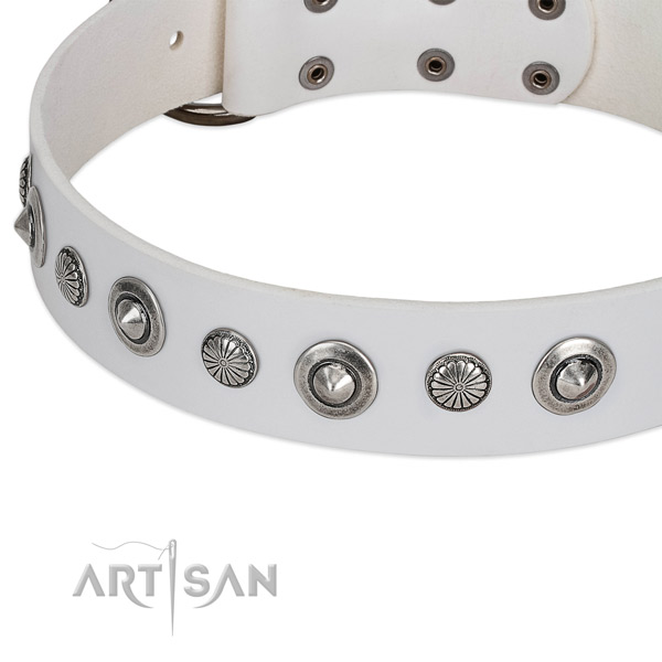 Full grain genuine leather collar with corrosion proof fittings for your attractive doggie