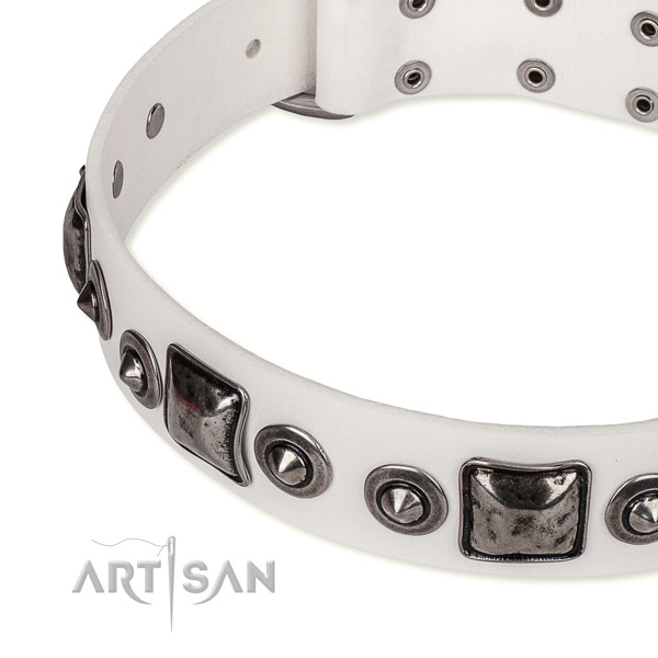 Reliable natural genuine leather dog collar handcrafted for your impressive four-legged friend