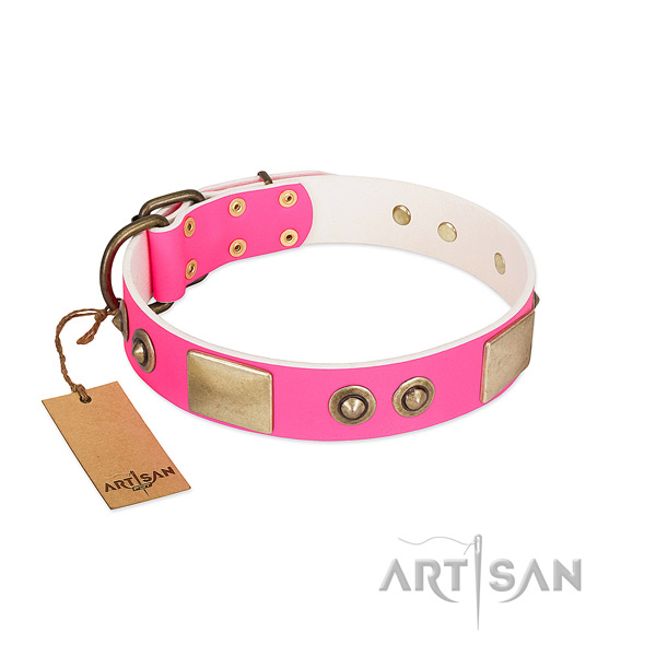 Strong studs on full grain leather dog collar for your pet