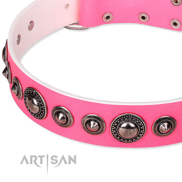 Everyday use embellished dog collar of reliable full grain genuine leather
