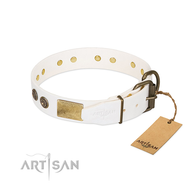 Rust-proof D-ring on leather collar for basic training your canine