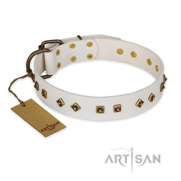 Remarkable genuine leather dog collar with reliable D-ring