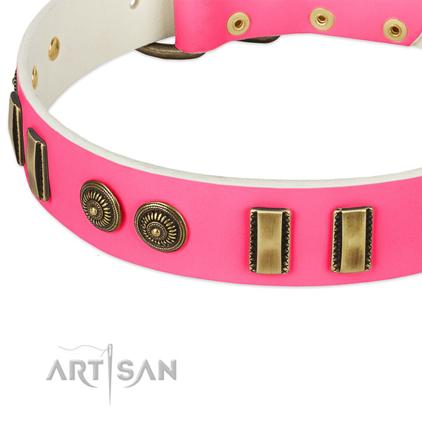 Rust-proof fittings on full grain leather dog collar for your pet