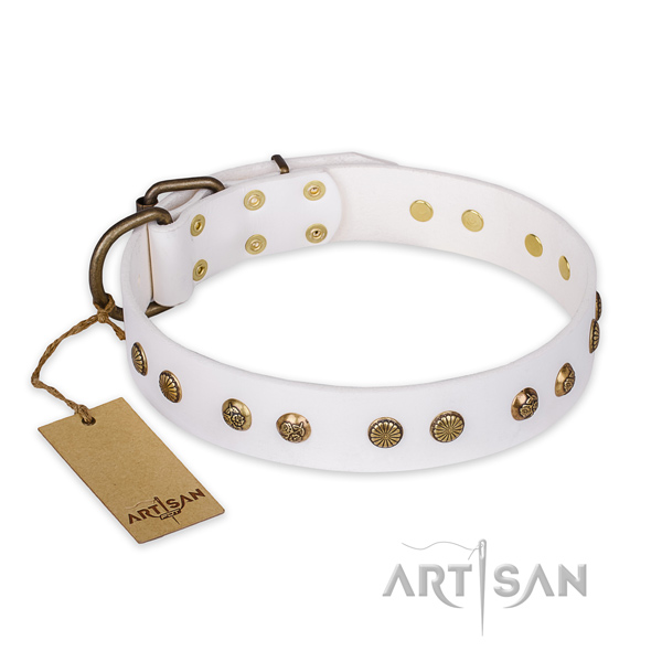 Awesome genuine leather dog collar with reliable traditional buckle