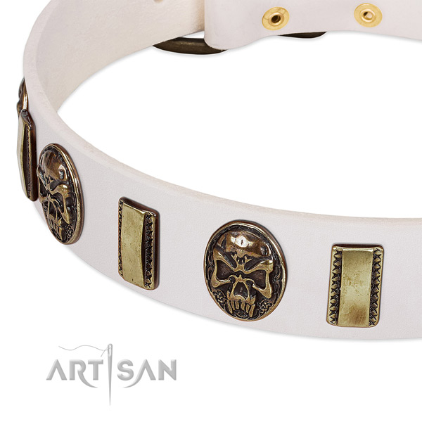 Corrosion proof traditional buckle on full grain leather dog collar for your canine