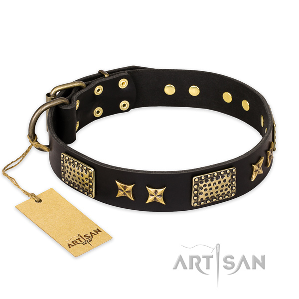 Significant leather dog collar with corrosion proof D-ring