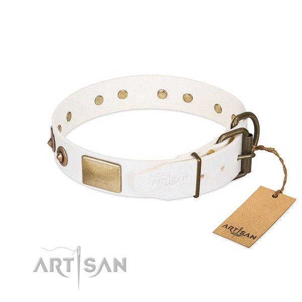 Durable adornments on full grain genuine leather dog collar for your dog