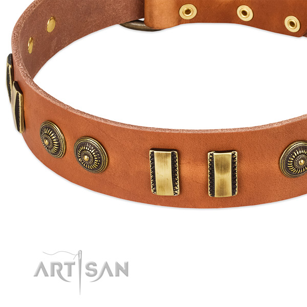 Durable embellishments on full grain natural leather dog collar for your doggie