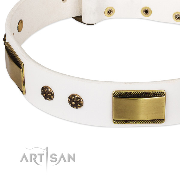 Rust-proof D-ring on full grain genuine leather dog collar for your canine