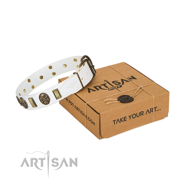 Rust resistant fittings on full grain natural leather dog collar for daily walking