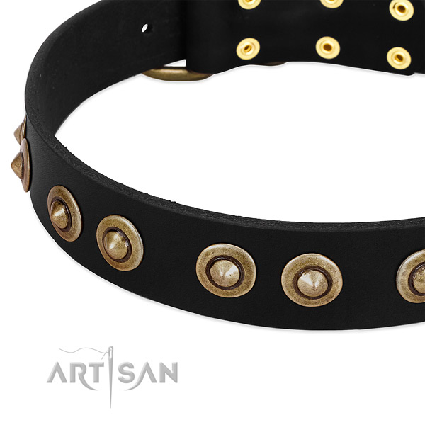 Corrosion proof embellishments on full grain genuine leather dog collar for your canine