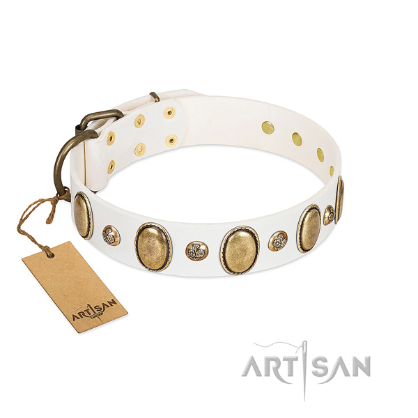 Natural leather dog collar of reliable material with fashionable embellishments