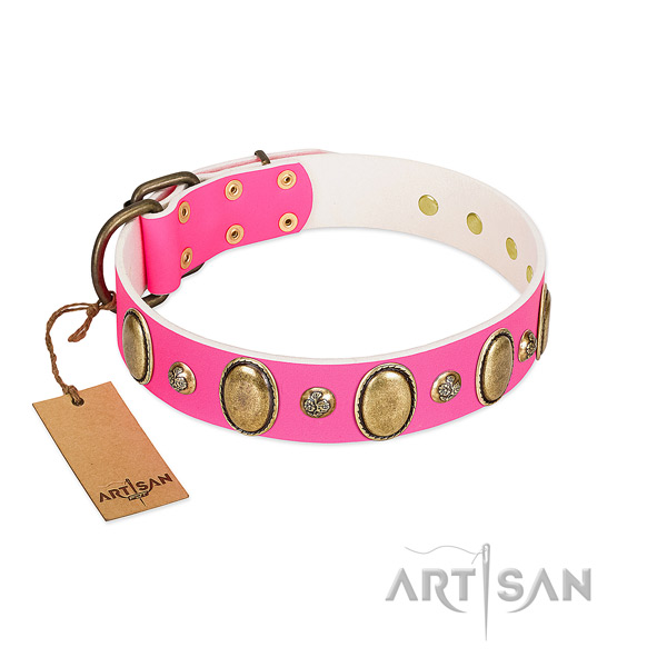 Daily walking soft leather dog collar with embellishments