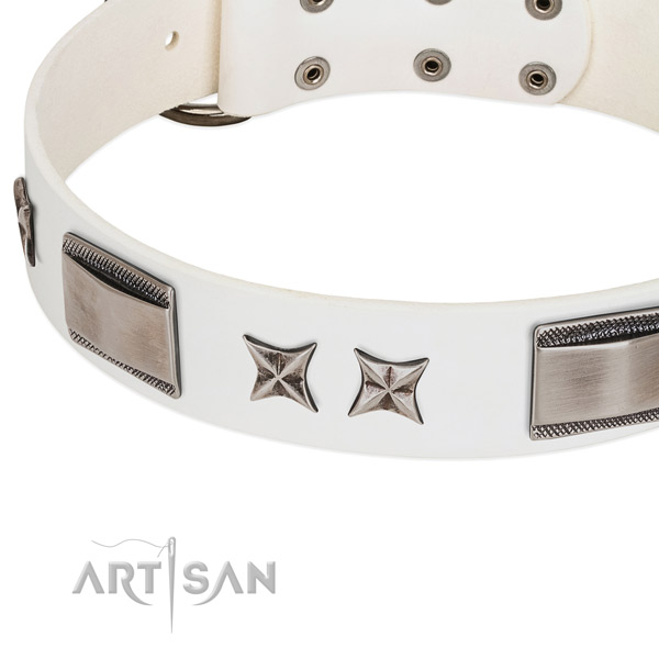 Top notch leather dog collar with corrosion resistant D-ring