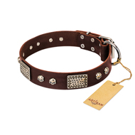"Pirate Skull" FDT Artisan Brown Leather Boxer Collar with Old Silver Look Plates and Skulls