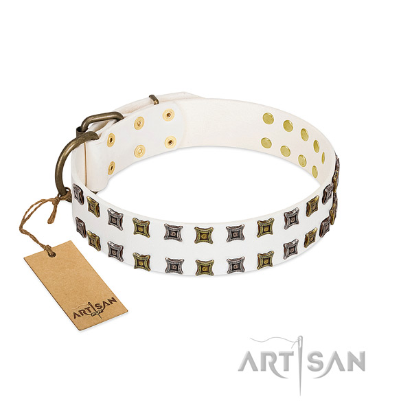 Reliable leather dog collar with adornments for your four-legged friend