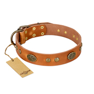 "Sun Beams" FDT Artisan Tan Leather Boxer Collar with Decorations