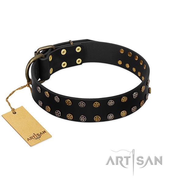 Exquisite full grain genuine leather dog collar with rust resistant adornments