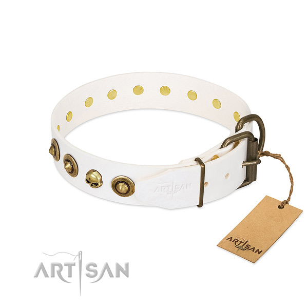 Full grain leather collar with stunning embellishments for your canine
