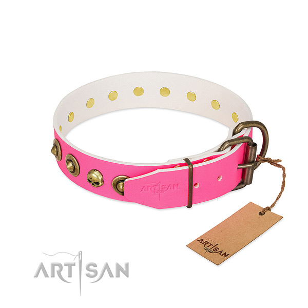 Full grain natural leather collar with top notch adornments for your four-legged friend
