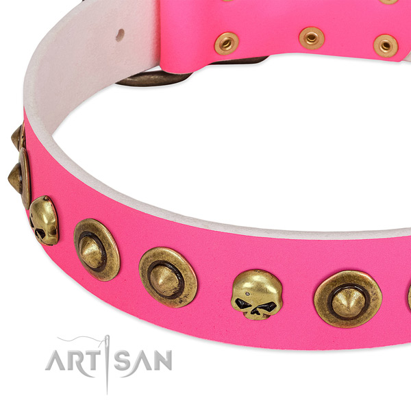 Stylish studs on full grain leather collar for your canine