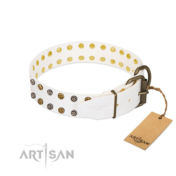 Leather collar with incredible decorations for your doggie