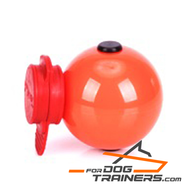 Dog training Magnetic ball