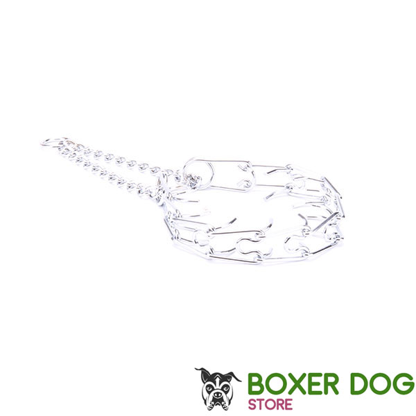 Chrome plated dog prong collar for ill behaved dogs