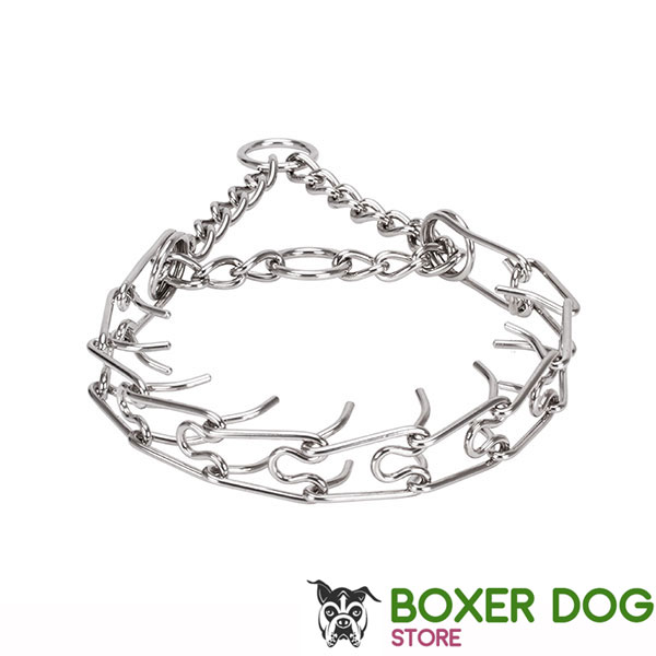Pinch collar of stainless steel for poorly behaved dogs