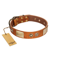 "Perfect Blend" FDT Artisan Tan Leather Boxer Collar 1 1/2 inch (40 mm) wide