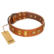 "Egyptian Script" FDT Artisan Tan Leather Boxer Collar with Plates and Small Studs