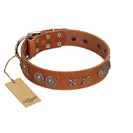 "Splendid Armor" Premium Quality FDT Artisan Tan Designer Boxer Collar with Shields and Stars