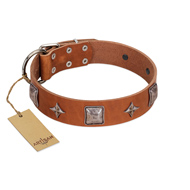 "Lucky Star" FDT Artisan Tan Leather Boxer Collar with Silver-Like Embellishments