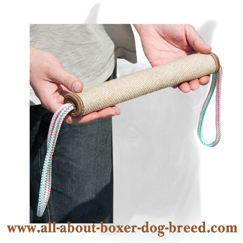 Training Jute Bite Roll for Pups