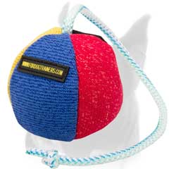 Perfect Boxer toy for various kind of training